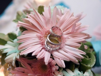 Wedding rings on pink daisy.